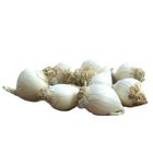Garlic Local Single Cell Loose 1Kg