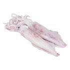 White Squid Fresh / Sotong Putih Size M ±(300g) | 15141496-KG