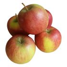 SA Crisp Red Apple (Packet) 6 Pieces - 534885