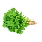 Coriander Dhone Pata 250g