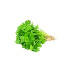 Coriander Leaf Dhone Pata 1Kg