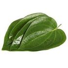 Paan 4 Pieces
