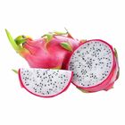 Buah Pitaya Merah Tempatan - 2494