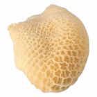 Frozen Buffalo Cooked Tripe - 6082