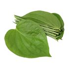 Sirih Betel Leaves for Prayer 10 Pieces
