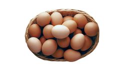 Eggs Broiler 4 pieces
