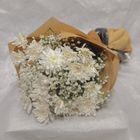 Zerritta Flowers Blooming White Chrysanthemums 1 Bouquet