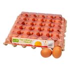 Savoir Classic Egg Grade B 30'S