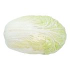 Film Wrapped Wong Bok Cabbage China 1.1kg