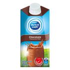 Dutch Lady UHT Chocolate 300ml