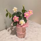 Crochet Mini Flowers in Bloom Box (Pink/White) 1 Unit