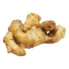 Young Ginger (Halia Muda) Kg. 0.3kg