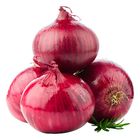 Premium Red Big Onion Kg. 0.5kg