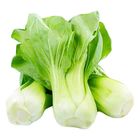 Siew Pak Choy Kg. 0.5kg