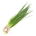 Spring Onion (Daun Bawang) Kg. 0.15kg