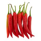 Red Chilli (Cili Merah) Kg. 0.2kg