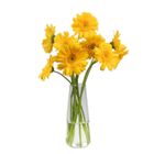 Yellow Gerbera Flower 1 Piece