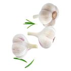 Premium White Garlic Kg. 0.5kg