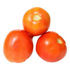 Tomato Xl Kg. 0.5kg