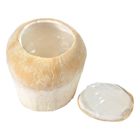 Jelly Coconut Pc