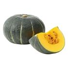 China Bei Bei Pumpkin 1 Piece