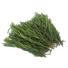 Rosemary(Kenya Imported)20G