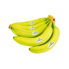 Hanay Premium Banana Sagor Kola 6 Pieces