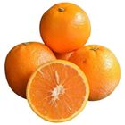 Malta Yellow Small 140g-199g