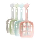 Ordinary Big Cat Scoop 1 Piece
