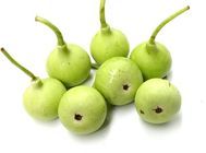 brightfarms Bottle Gourd Round (Gol Lauki) (Pakistan) 1kg