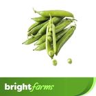 brightfarms Peas (Matar) (Pakistan) 1kg