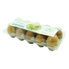 Student Farm Chicken Egg Size L 10 Pieces