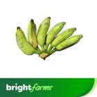 brightfarms Banana (Bangla Kola) Semi Ripen 6 Pieces