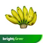 brightfarms Banana Champa Semi Ripen 6 Pieces