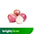 brightfarms Fresh Onion (Pyaz) 5kg