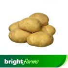 brightfarms Fresh Potato (Aalu) Mix 3kg