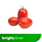 brightfarms fresh tomato (Timatar) 1Kg (Mix Sizes)