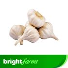 brightfarms Garlic China (Lehsan) 500g