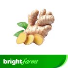 brightfarms China Ginger (China Adrak) 500g