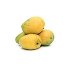 Mango Himshagor-1