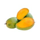 Mango Hari Bangha