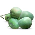 Mango Bari-4