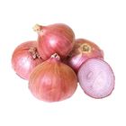 Onion Local Bulk Regular