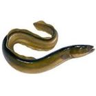 Bain Fish Long 1kg