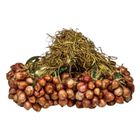 Dizon Farms Sibuyas Tagalog 400g