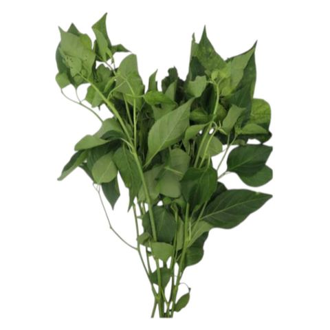 Dizon Farms Chili Leaves 200g