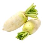 Dizon Farms Korean Radish 650g