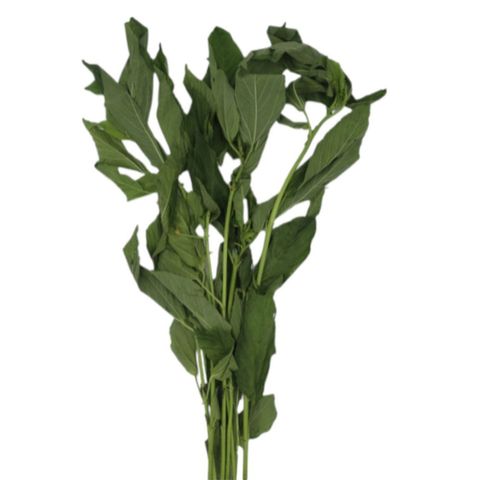 Dizon Farms Saluyot 200g