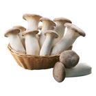家樂福 有機杏鮑菇 180g