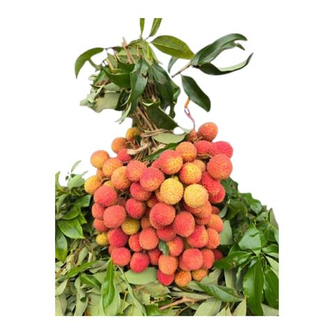 Kathali Lychee 25 Pieces